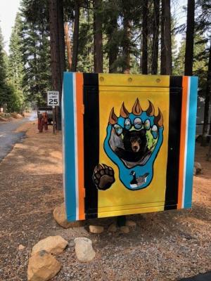 Bear Box Art