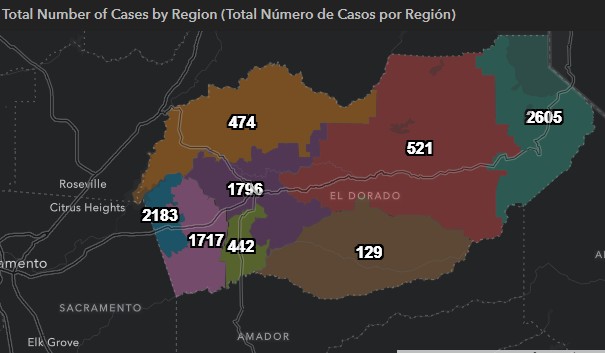 COVID cases by Area